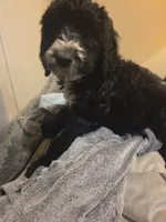 processed/92019b3e-993d-45ce-a1c6-681c34900131/listing/b8094cad-508e-4cdd-ac7e-707ebf402639/5953ebab-f085-4eff-b200-d82752c9c1e8