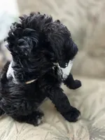 processed/92019b3e-993d-45ce-a1c6-681c34900131/listing/b8094cad-508e-4cdd-ac7e-707ebf402639/74f7a61e-54e7-4a4f-a179-85147b6b2a72