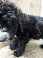 processed/92019b3e-993d-45ce-a1c6-681c34900131/listing/b8094cad-508e-4cdd-ac7e-707ebf402639/85fefd5f-e3e9-437a-818d-2dacc6750cac