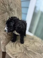 processed/92019b3e-993d-45ce-a1c6-681c34900131/listing/b8094cad-508e-4cdd-ac7e-707ebf402639/8f95ff38-acc7-4a74-a134-3a88e2571c1a