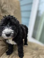 processed/92019b3e-993d-45ce-a1c6-681c34900131/listing/b8094cad-508e-4cdd-ac7e-707ebf402639/9358abc1-c404-4643-abe5-9c02c8114470