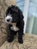 processed/92019b3e-993d-45ce-a1c6-681c34900131/listing/b8094cad-508e-4cdd-ac7e-707ebf402639/b9456f04-eeed-4ab5-9a4e-d6534d3b7a9a