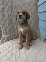 processed/92019b3e-993d-45ce-a1c6-681c34900131/listing/c972001c-da54-4d43-912b-149d9c3d6b9b/09316005-e156-4888-bf94-90628fdcd942