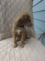 processed/92019b3e-993d-45ce-a1c6-681c34900131/listing/c972001c-da54-4d43-912b-149d9c3d6b9b/37dcb6be-32ba-4c77-8de5-7695e3cae075