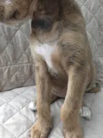 processed/92019b3e-993d-45ce-a1c6-681c34900131/listing/c972001c-da54-4d43-912b-149d9c3d6b9b/87a6b5ed-edcd-4521-a951-549780a471e6