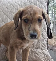 processed/92019b3e-993d-45ce-a1c6-681c34900131/listing/c972001c-da54-4d43-912b-149d9c3d6b9b/8c425aa0-b31f-4bd9-9eef-acc269f42d77