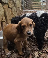 processed/92019b3e-993d-45ce-a1c6-681c34900131/listing/c972001c-da54-4d43-912b-149d9c3d6b9b/ce67a9fb-897a-40f1-a5aa-cdd3c10654cb