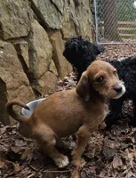 processed/92019b3e-993d-45ce-a1c6-681c34900131/listing/c972001c-da54-4d43-912b-149d9c3d6b9b/cf007682-624d-437f-bff3-342630f8e059