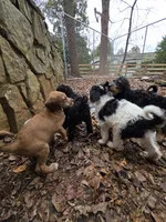 processed/92019b3e-993d-45ce-a1c6-681c34900131/listing/c972001c-da54-4d43-912b-149d9c3d6b9b/d24c1a25-9733-43a6-9f5b-48ad937d01e0