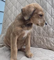 processed/92019b3e-993d-45ce-a1c6-681c34900131/listing/c972001c-da54-4d43-912b-149d9c3d6b9b/e22a73f4-a675-47a5-a34c-2eb4f160f9f1