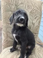 processed/92019b3e-993d-45ce-a1c6-681c34900131/listing/cfe764b9-7942-411e-99ac-337ff21ec5ab/21df84f4-38a4-4343-88f2-69880fde6811