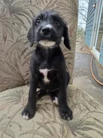 processed/92019b3e-993d-45ce-a1c6-681c34900131/listing/cfe764b9-7942-411e-99ac-337ff21ec5ab/3605652e-5f91-4759-8441-fd104d40b4e5