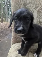 processed/92019b3e-993d-45ce-a1c6-681c34900131/listing/cfe764b9-7942-411e-99ac-337ff21ec5ab/562dc54f-93ee-460b-ae22-f6655c26b803