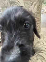 processed/92019b3e-993d-45ce-a1c6-681c34900131/listing/cfe764b9-7942-411e-99ac-337ff21ec5ab/6e658196-9a3f-401c-817c-ae36c8beed60