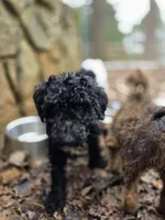 processed/92019b3e-993d-45ce-a1c6-681c34900131/listing/e8f31af1-fdcd-4ede-89da-fb38b667b3ea/036aa76d-5260-4a8b-9b0c-9258286faf56