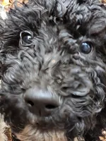 processed/92019b3e-993d-45ce-a1c6-681c34900131/listing/e8f31af1-fdcd-4ede-89da-fb38b667b3ea/2273b998-5174-4eba-8486-442a5171be1a