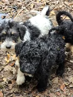 processed/92019b3e-993d-45ce-a1c6-681c34900131/listing/e8f31af1-fdcd-4ede-89da-fb38b667b3ea/68c307be-a290-495d-91c9-a7ea36331342