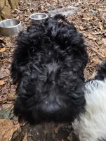 processed/92019b3e-993d-45ce-a1c6-681c34900131/listing/e8f31af1-fdcd-4ede-89da-fb38b667b3ea/7ee346a8-1b14-4bf0-baa3-e4c17adf5190