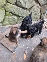 processed/92019b3e-993d-45ce-a1c6-681c34900131/listing/e8f31af1-fdcd-4ede-89da-fb38b667b3ea/a1d6fb84-57de-4e52-9eed-03707e439b2e