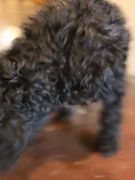 processed/92019b3e-993d-45ce-a1c6-681c34900131/listing/e8f31af1-fdcd-4ede-89da-fb38b667b3ea/c02ee7f8-c2c6-4c31-8b04-70f088bb24e2