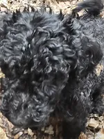 processed/92019b3e-993d-45ce-a1c6-681c34900131/listing/e8f31af1-fdcd-4ede-89da-fb38b667b3ea/cf305872-e9f7-4fa4-8900-4e22d95ed6db