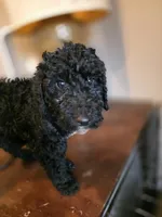 processed/92019b3e-993d-45ce-a1c6-681c34900131/listing/e8f31af1-fdcd-4ede-89da-fb38b667b3ea/d8ce7a5b-aa62-40b5-bbe5-53410074ae4d