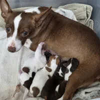 processed/9219815b-1fd0-49b0-9ff8-4ba078c7c4e7/facility/380871ac-dd7a-4d67-aa7a-9917fc41b53d