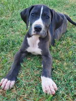 processed/921b611b-13c5-43a4-8fbe-ff296c88f79b/facility/1ae6df04-f727-494d-9b12-325a41259ee4