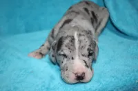 processed/921b611b-13c5-43a4-8fbe-ff296c88f79b/facility/6bf28c6f-a49e-4996-9c38-4daafccb3198