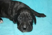 processed/921b611b-13c5-43a4-8fbe-ff296c88f79b/facility/b79b8631-3a07-43ed-a6fd-75e85008a539