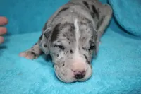 processed/921b611b-13c5-43a4-8fbe-ff296c88f79b/facility/eb08c849-81b9-4425-bad2-907ad9c2970c