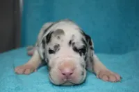 processed/921b611b-13c5-43a4-8fbe-ff296c88f79b/facility/f6f9cd4c-2649-4da5-8b7f-15bf14b33d7b