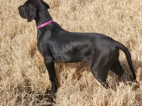 processed/921b611b-13c5-43a4-8fbe-ff296c88f79b/facility/f971919d-a5d4-4208-8415-d4bc2e606cb9