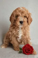 processed/921ebb59-29b0-432f-a736-afe3360e972e/listing/0f4eb763-dc24-4fdc-a65e-4336895df7ab/9233506f-a9f1-4c20-a598-3677a0562163