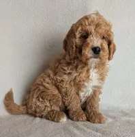 processed/921ebb59-29b0-432f-a736-afe3360e972e/listing/0f4eb763-dc24-4fdc-a65e-4336895df7ab/96f55016-588c-40e9-8535-715baaa640fb