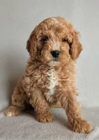 processed/921ebb59-29b0-432f-a736-afe3360e972e/listing/0f4eb763-dc24-4fdc-a65e-4336895df7ab/d4f8d627-6723-456d-9bf1-293ac6777349