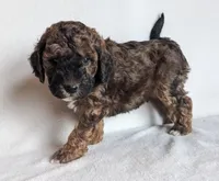 processed/921ebb59-29b0-432f-a736-afe3360e972e/listing/a2d51be8-d081-4d65-a430-a09fa0b41122/8c56e1a0-b3c9-4494-9ef2-b6086450b3b6