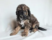 processed/921ebb59-29b0-432f-a736-afe3360e972e/listing/a2d51be8-d081-4d65-a430-a09fa0b41122/b1886b48-6870-428d-bd3f-28d93cdba264