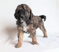 processed/921ebb59-29b0-432f-a736-afe3360e972e/listing/a2d51be8-d081-4d65-a430-a09fa0b41122/d9de2a36-e909-4a37-aa3c-4077a9bb3c27