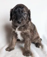 processed/921ebb59-29b0-432f-a736-afe3360e972e/listing/fb7264e5-5d87-4b5c-9fd1-774f884bd07b/171541b3-32e8-4707-abf0-b145e4c09582