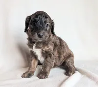 processed/921ebb59-29b0-432f-a736-afe3360e972e/listing/fb7264e5-5d87-4b5c-9fd1-774f884bd07b/e305e591-b26d-45e3-9a89-9bbc6bdd1617