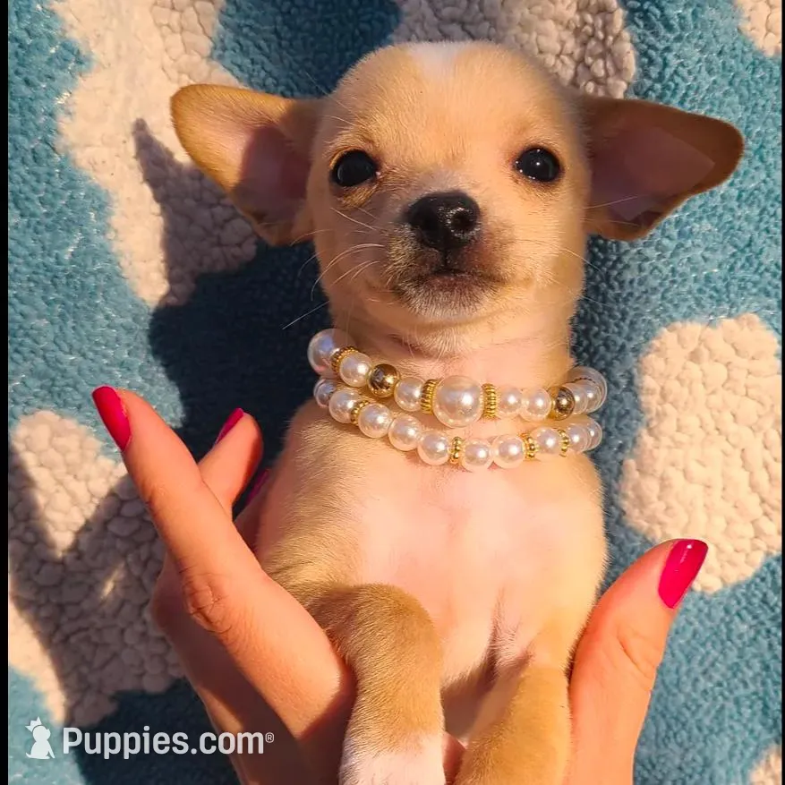 processed/92296994-5c62-4bc8-a3e3-1bf9c679c214/listing/31de9375-10b1-43a9-a9e2-ffb950e82b04/2e71cca0-ab84-4aa1-a201-ce9f34740228