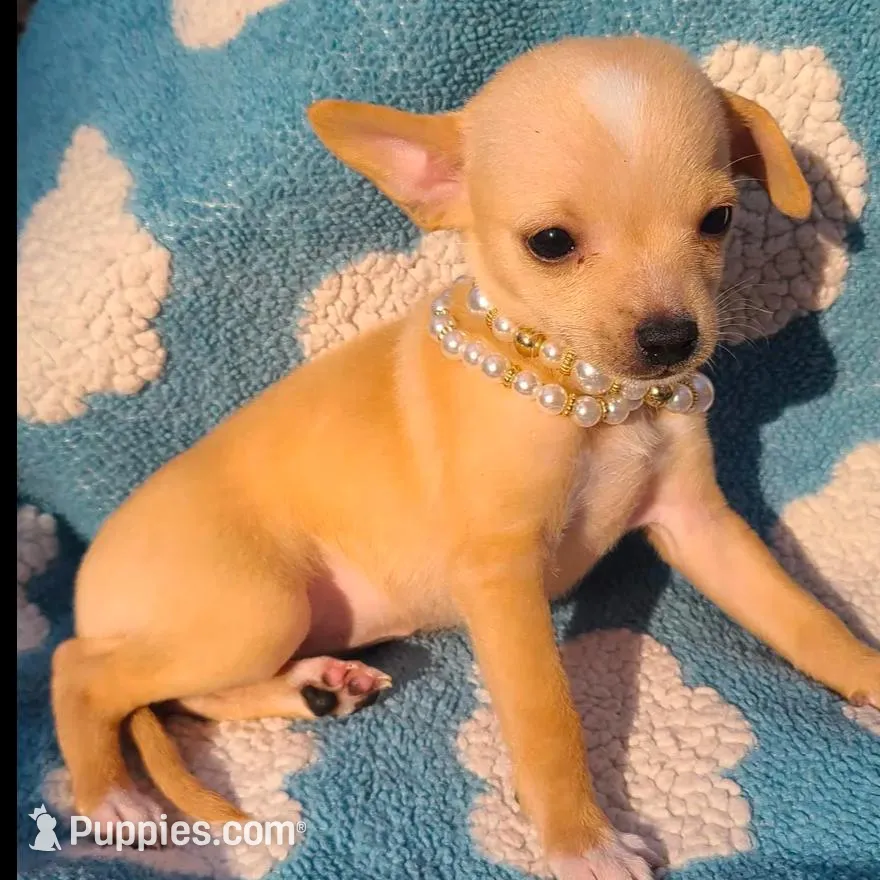 processed/92296994-5c62-4bc8-a3e3-1bf9c679c214/listing/31de9375-10b1-43a9-a9e2-ffb950e82b04/a594317b-2ba3-46dd-b143-6dab706c3e02