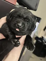 processed/9230c13b-4b41-4081-b74f-c4982d4b26f5/facility/11f32eb6-a6ee-464e-bf51-09bb18d03fd6