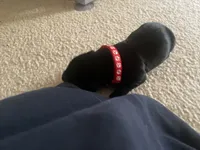 processed/9230c13b-4b41-4081-b74f-c4982d4b26f5/listing/69c583a3-dee0-4a69-bfd9-a75a2c41e483/09ff0ec8-606f-46cd-ab66-bb304066d7ca