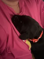 processed/9230c13b-4b41-4081-b74f-c4982d4b26f5/listing/69c583a3-dee0-4a69-bfd9-a75a2c41e483/6634c7e5-172c-41c1-b666-10a3d33c769a