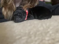 processed/9230c13b-4b41-4081-b74f-c4982d4b26f5/listing/69c583a3-dee0-4a69-bfd9-a75a2c41e483/76cfaaf6-1be0-413b-ac76-dddc873fe615