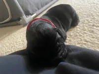 processed/9230c13b-4b41-4081-b74f-c4982d4b26f5/listing/69c583a3-dee0-4a69-bfd9-a75a2c41e483/84b750e3-308d-4cc6-a623-d447f2f13c76