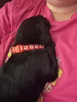 processed/9230c13b-4b41-4081-b74f-c4982d4b26f5/listing/69c583a3-dee0-4a69-bfd9-a75a2c41e483/b3476cb7-457e-4f50-a080-c68a15e30f36