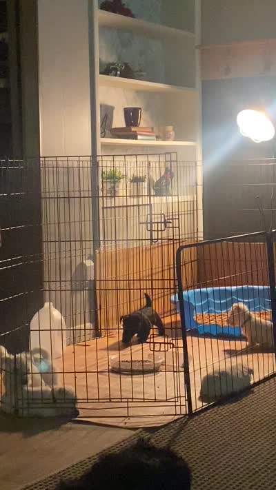 Facility video